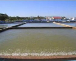 金桂漿紙榮獲“2019年度自治區(qū)節(jié)水型企業(yè)”稱號(hào)