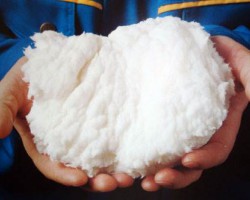 上半年闊葉漿價格震蕩下行 下半年拐點何時出現(xiàn)？