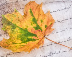 　國家衛(wèi)健委：新冠疫苗大前提是為全民免費(fèi)提供