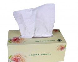 2020年榮譽(yù)盤點(diǎn)：摘得多項(xiàng)桂冠 晨鳴碩果累累