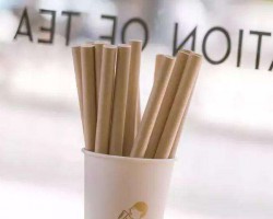 山東已逐步成為歐洲云杉原木的大集散地和加工基地