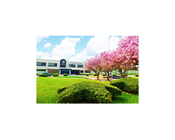 金紅葉攜手蘇寧家樂(lè)福開(kāi)啟全渠道戰(zhàn)略合作