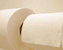 山鷹1月份量?jī)r(jià)齊升 造紙板塊銷量同比增長(zhǎng)近200%