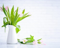 母嬰行業(yè)迎“卡位”戰(zhàn)，紙尿褲商家都在關(guān)注哪些增長信號？