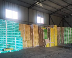 衛(wèi)生紙品牌忠誠度培養(yǎng)：從用戶體驗到情感連接的深度構(gòu)建